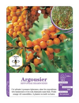 HIPPOPHAE RHAMNOIDES voir Argousier