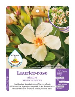 NERIUM OLEANDER voir Laurier-rose simple (jaune)