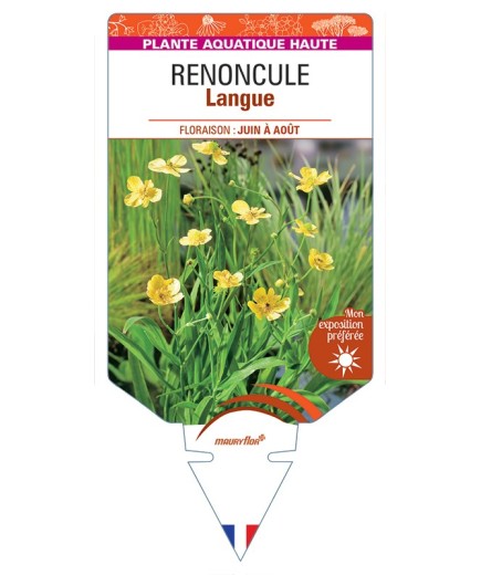 RANUNCULUS lingua voir Renoncule Langue