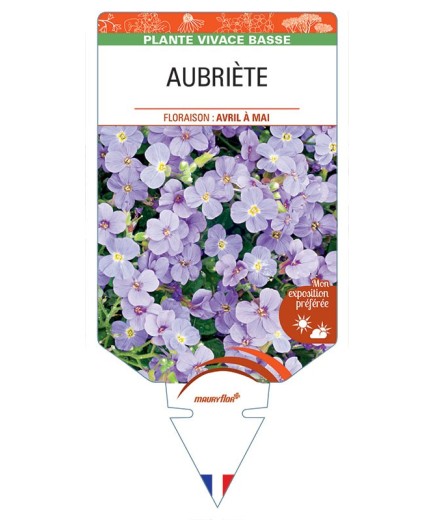 AUBRIÈTE (bleu clair) *