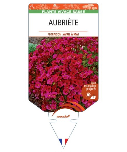 AUBRIÈTE (rouge)