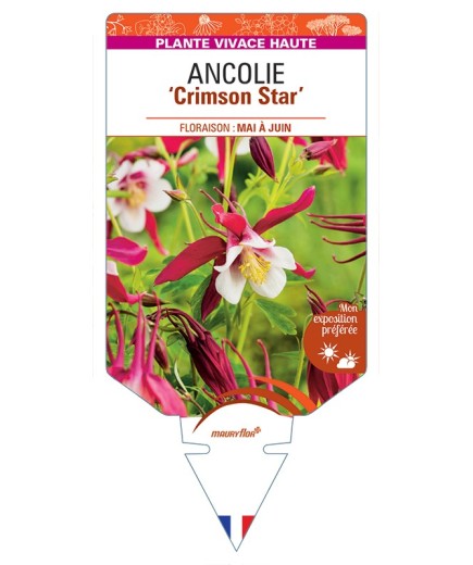 ANCOLIE Crimson Star