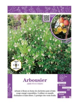 ARBOUSIER ARBUTUS UNEDO