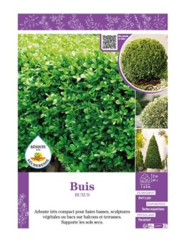 BUXUS voir BUIS