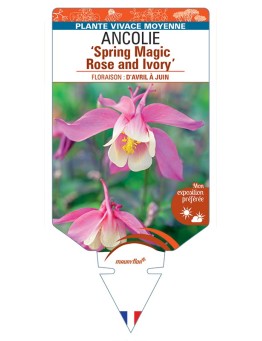 ANCOLIE Spring Magic Rose and Ivory