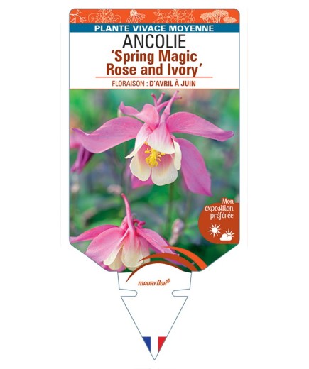 ANCOLIE Spring Magic Rose and Ivory