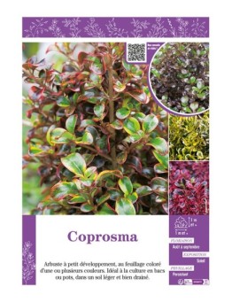 COPROSMA (varié)