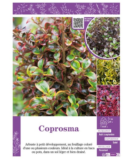 COPROSMA (varié)
