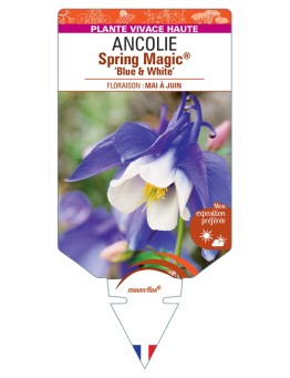 ANCOLIE Spring Magic® Blue & White