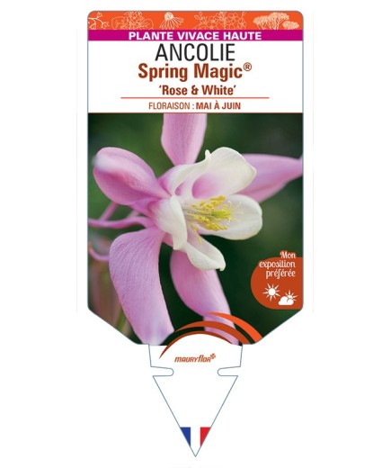 ANCOLIE Spring Magic® Rose & White