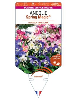 ANCOLIE Spring Magic® Variée