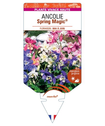 ANCOLIE Spring Magic® Variée