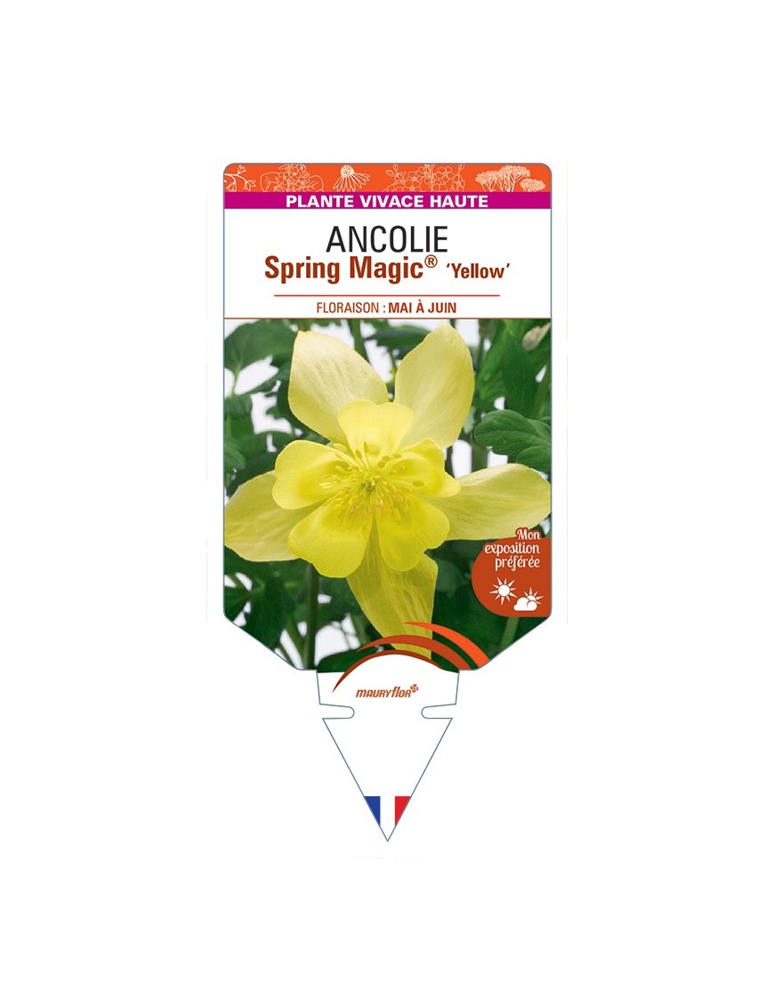 ANCOLIE Spring Magic® Yellow