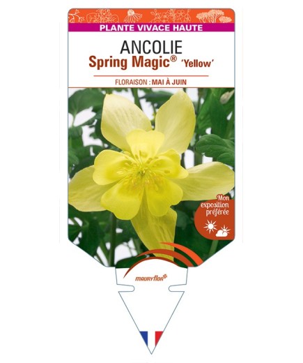 ANCOLIE Spring Magic® Yellow