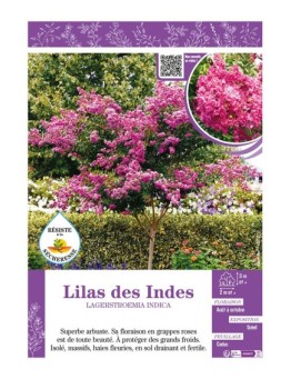 LAGERSTROEMIA INDICA voir LILAS DES INDES (rose)