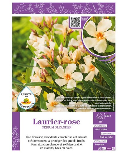 NERIUM OLEANDER voir LAURIER-ROSE (jaune)