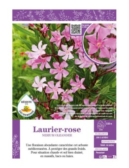NERIUM OLEANDER voir LAURIER-ROSE (rose clair)