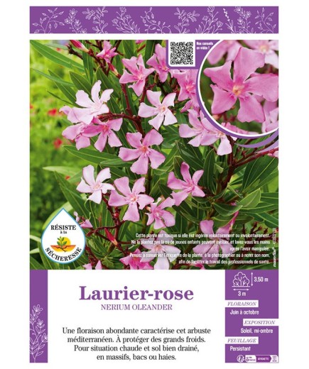 NERIUM OLEANDER voir LAURIER-ROSE (rose clair)