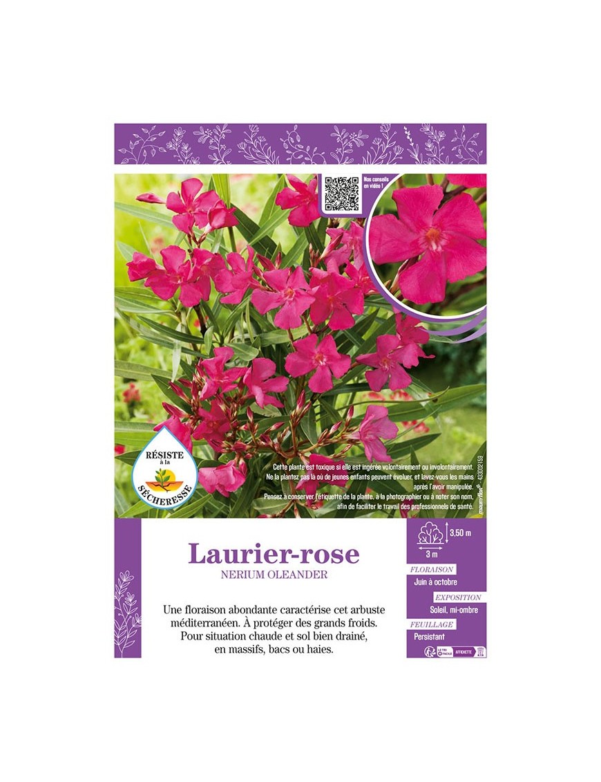 NERIUM OLEANDER voir LAURIER-ROSE (rose foncé)