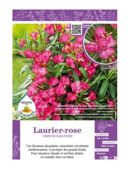 NERIUM OLEANDER voir LAURIER-ROSE (rose)