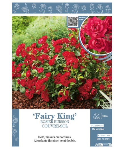 ROSIER BUISSON COUVRE-SOL FAIRY KING