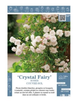 ROSIER COUVRE-SOL CRYSTAL FAIRY