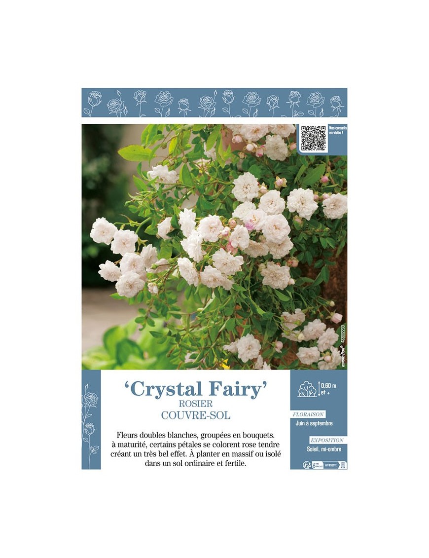 ROSIER COUVRE-SOL CRYSTAL FAIRY