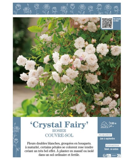 ROSIER COUVRE-SOL CRYSTAL FAIRY