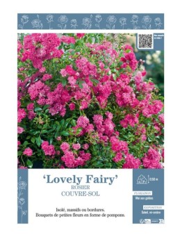 ROSIER COUVRE-SOL LOVELY FAIRY