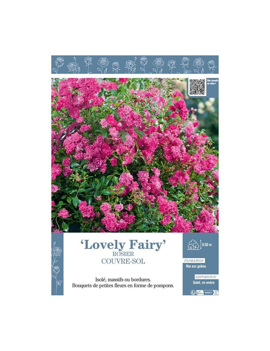 ROSIER COUVRE-SOL LOVELY FAIRY
