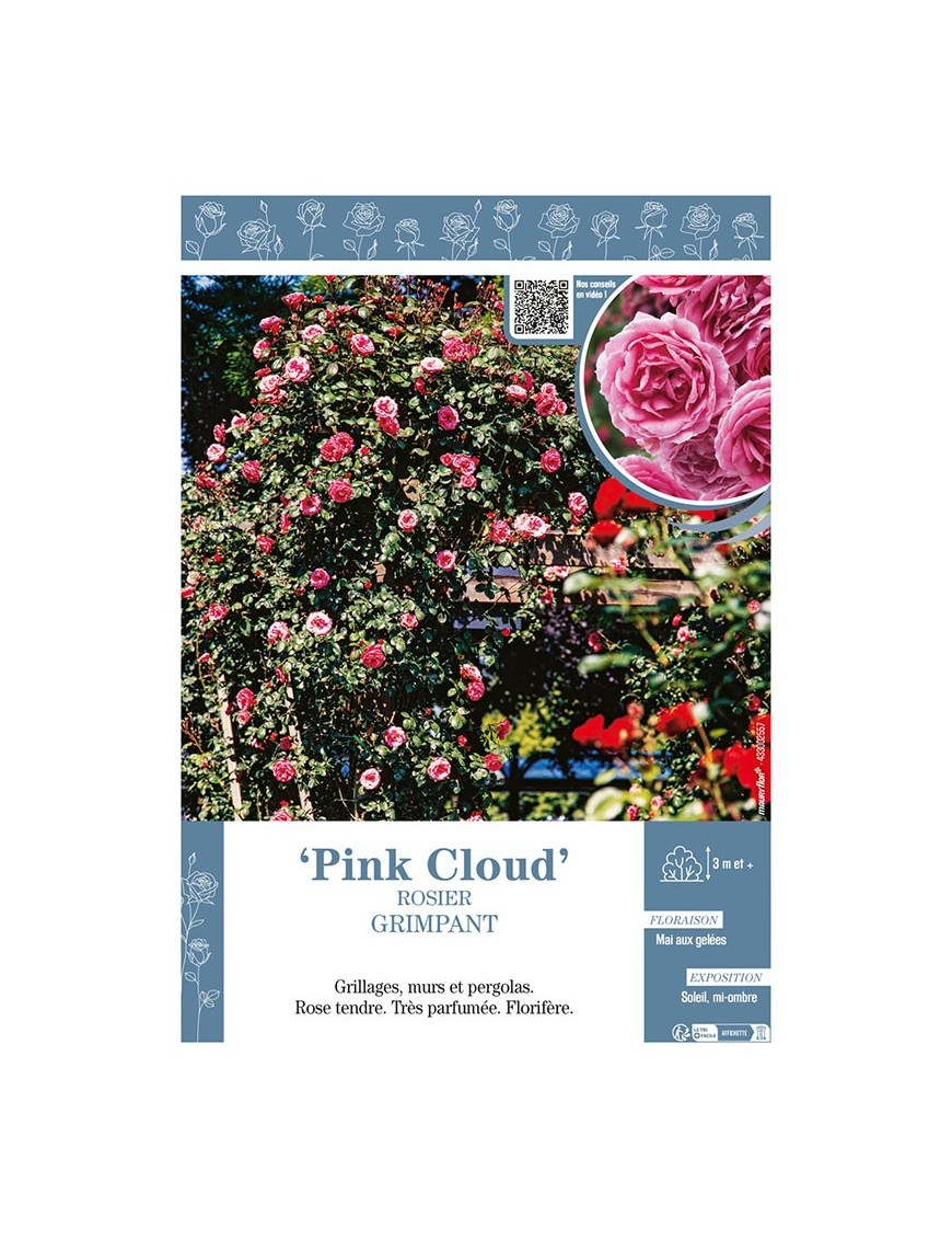 ROSIER GRIMPANT Pink Cloud