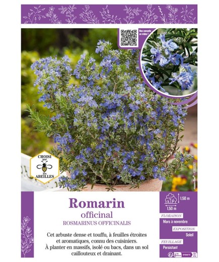 ROSMARINUS OFFICINALIS voir ROMARIN OFFICINAL