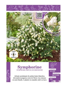 SYMPHORICARPOS DOORENBOSII voir SYMPHORINE (blanche)