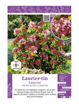VIBURNUM TINUS LISAROSE voir LAURIER TIN