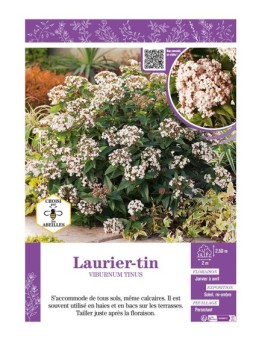 VIBURNUM TINUS voir LAURIER-TIN