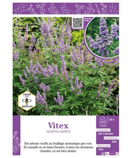 VITEX AGNUS-CASTUS