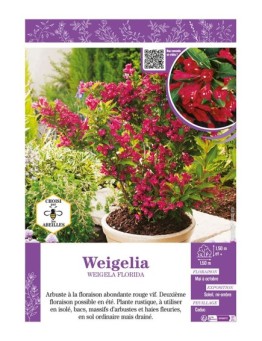 WEIGELIA FLORIDA (rouge)