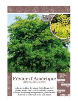 GLEDITSIA TRIACANTHOS voir FÉVIER D'AMÉRIQUE