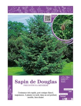 PSEUDOTSUGA MENZIESII voir SAPIN DE DOUGLAS