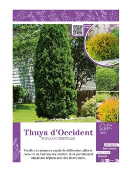 THUJA OCCIDENTALIS voir THUYA D'OCCIDENT