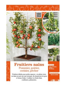 FRUITIERS NAINS - Pommier, poirier, cerisier, pêcher