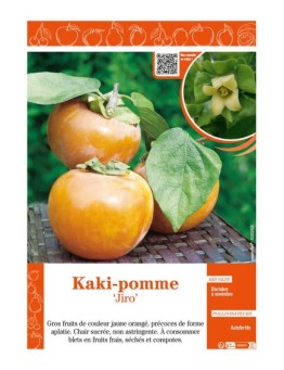 KAKI-POMME JIRO