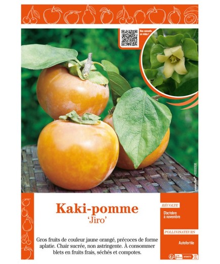 KAKI-POMME JIRO