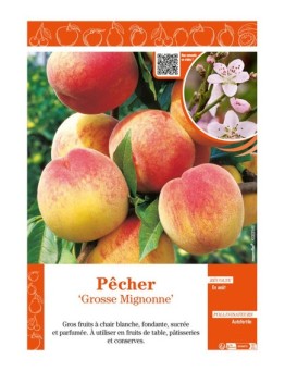 PÊCHER GROSSE MIGNONNE