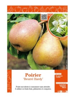 POIRIER BEURRÉ HARDY