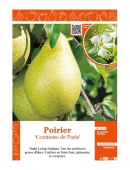 POIRIER COMTESSE DE PARIS