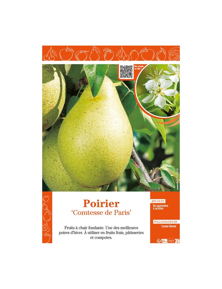 POIRIER COMTESSE DE PARIS