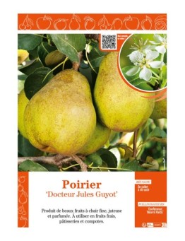 POIRIER DOCTEUR JULES GUYOT