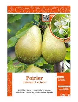 POIRIER GÉNÉRAL LECLERC