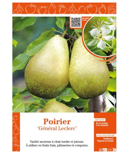 POIRIER GÉNÉRAL LECLERC